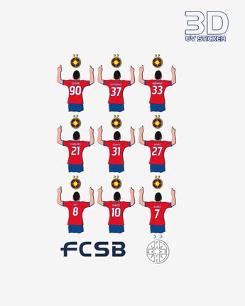 Set 11 Stickere 3D Player II FCSB